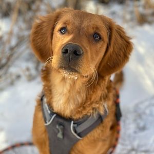 Meet your Posher, Lucie